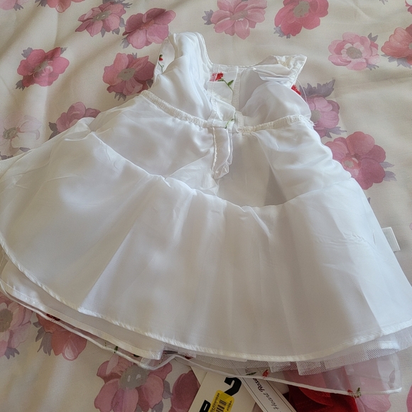Infant Formal Dress - Picture 14 of 16